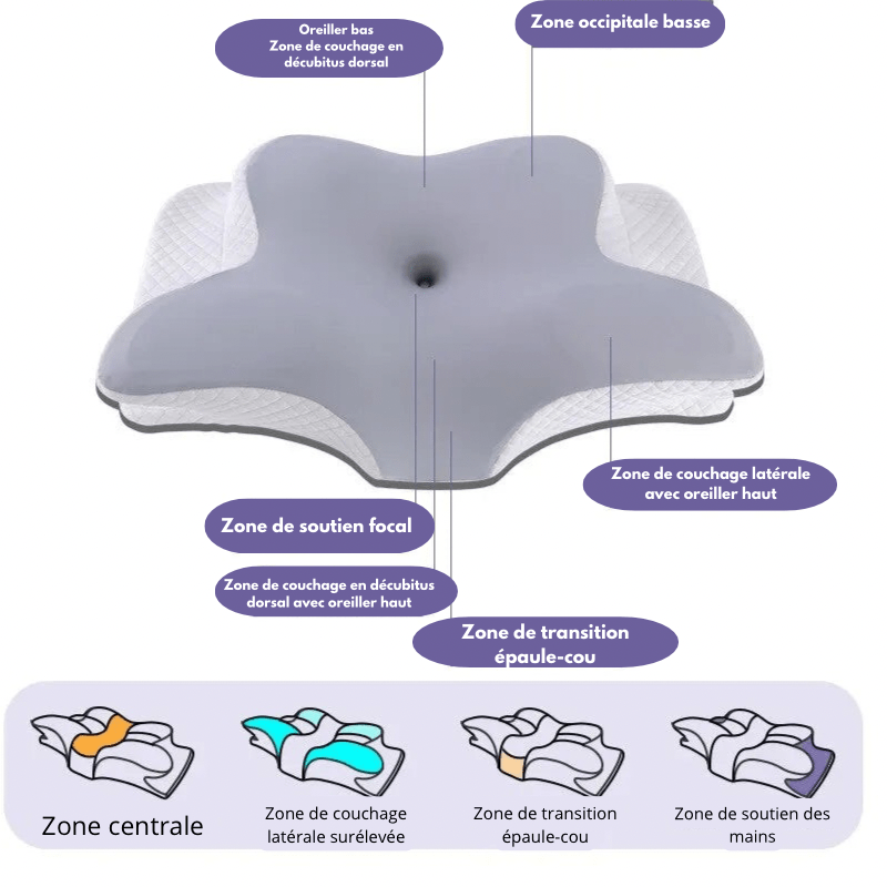 Oreiller Orthopédique Ergonomique - Somnaa